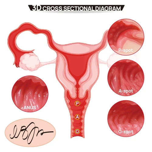 На фото мастурбатор Kokos 004 Vailla ONAHOLE Real Hips 2WayPlus с вибрацией и массажем