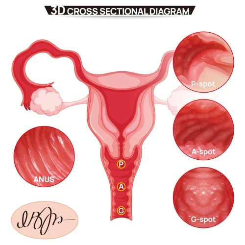 На фото мастурбатор Kokos 004 Vailla ONAHOLE Real Vagina