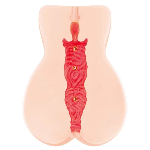 На фото реалистичный мастурбатор Kokos Onahole Edition 005 by Jenny