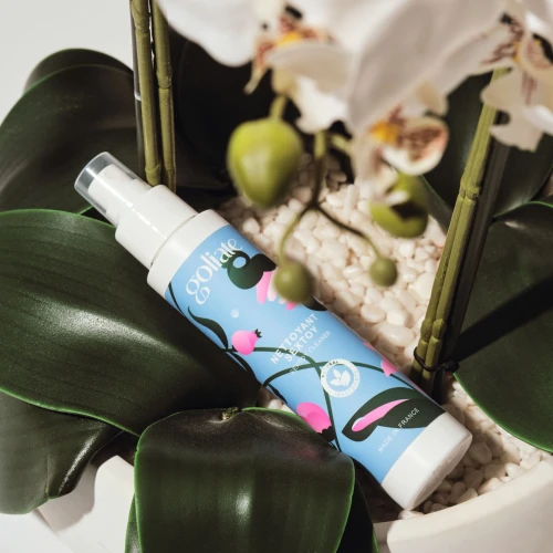 На фото Антибактериальный спрей для игрушек Goliate Nettoyant Sextoy 100 мл, безопасный д