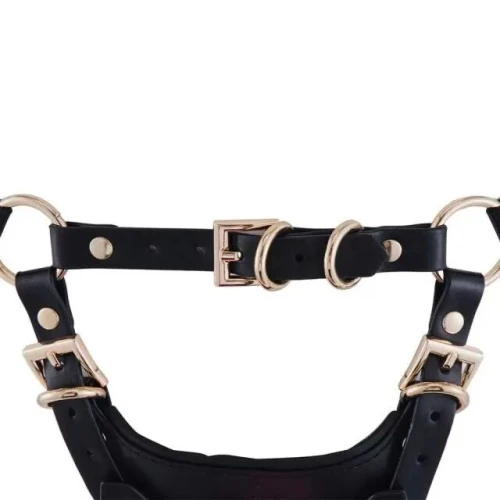 На фото сбруя со страпоном LOCKINK SEVANDA Queen Sheba Set with Golden 