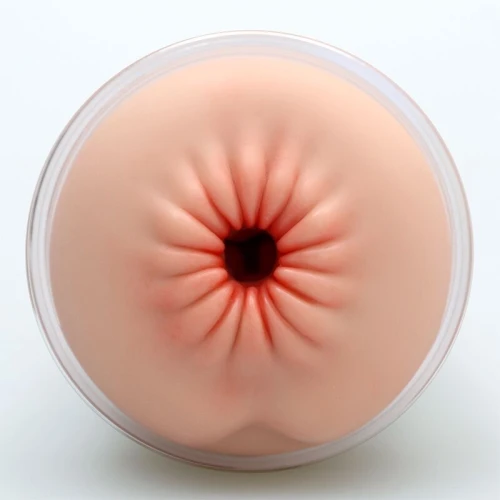 На фото мастурбатор-анус Naked Factory Cup Sleeve A-3, наскрізний