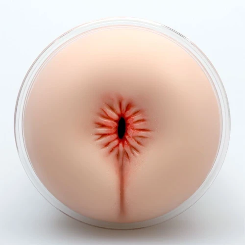 На фото мастурбатор-анус Naked Factory Cup Sleeve A-1, наскрізний