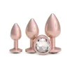 Набір анальних пробок NS Novelties Rear Assets Trainer Kit Iridescent Champagne