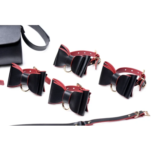 На фото изображен черный набор БДСМ Master Series Bow - Luxury BDSM Set With Travel Bag унисекс на светлом фоне