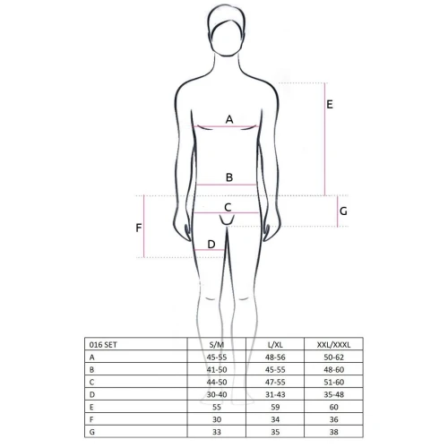 Комплект белья Passion 016 SET black L/XL, шортики под латекс и полупрозрачная маечка