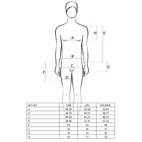 Комплект белья Passion 017 SET black XXL/XXXL, полностью прозрачная футболочка и такие же шортики