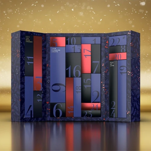 Satisfyer Premium Advent Calendar 2024 - Дорогой секс адвент календарь на 2024 год