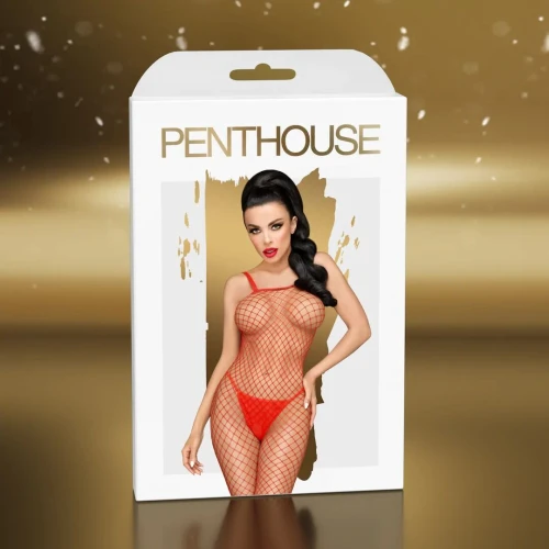 Satisfyer Premium Advent Calendar 2024 - Дорогой секс адвент календарь на 2024 год