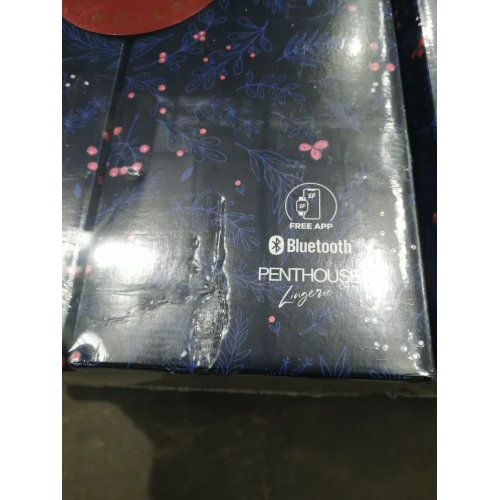 Подарочный набор Satisfyer Premium Advent Calendar 2024 (мятая упаковка!!!)