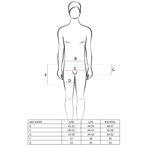 Прозрачные мужские шортики с гульфиком Passion 003 SHORT black S/M