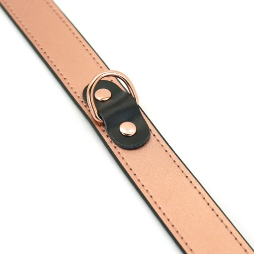 на даному фото зображенні Liebe Seele Rose Gold Memory Collar - Нашийник із затискачами для сосків