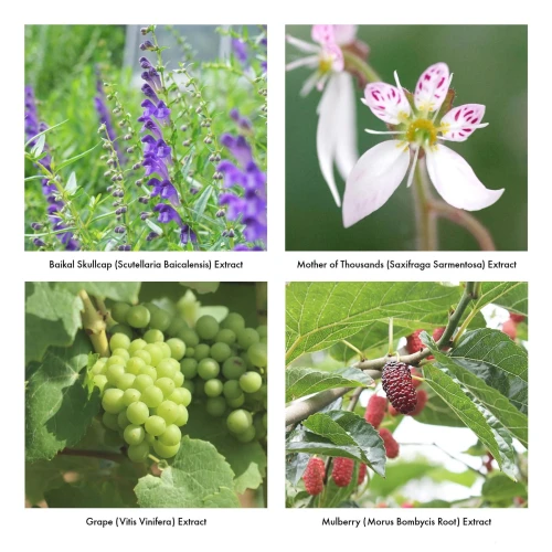 На фото пена для интимного ухода Iroha Intimate Wash Foam Type Bergamot and Bitter Orange 150 мл